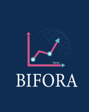 Logo BIFORA DATA CONSULTING